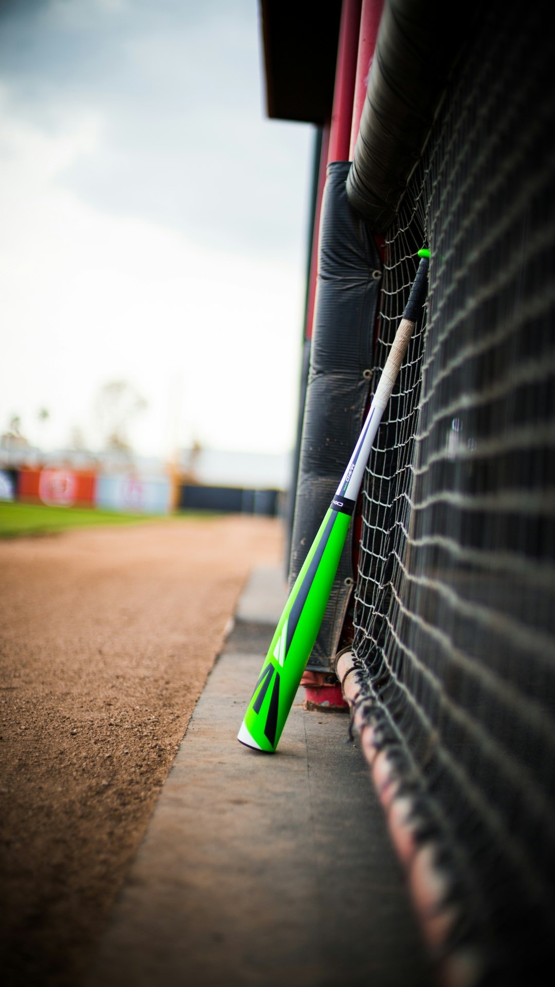 Baseball bat resting against a chain-link fence.